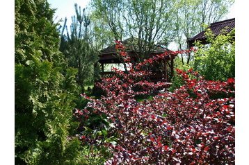 Польша Penzión Ustronie Morskie, Экстерьер